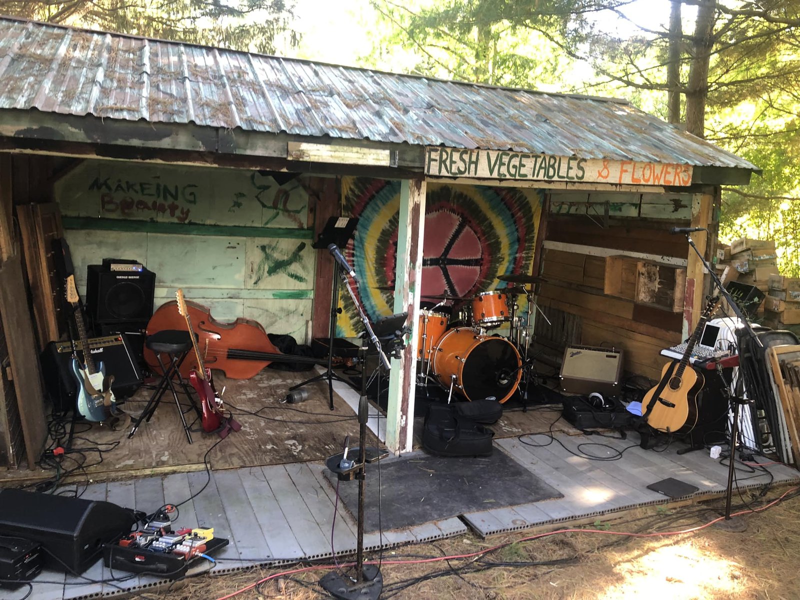 Cider Pressing Celebration