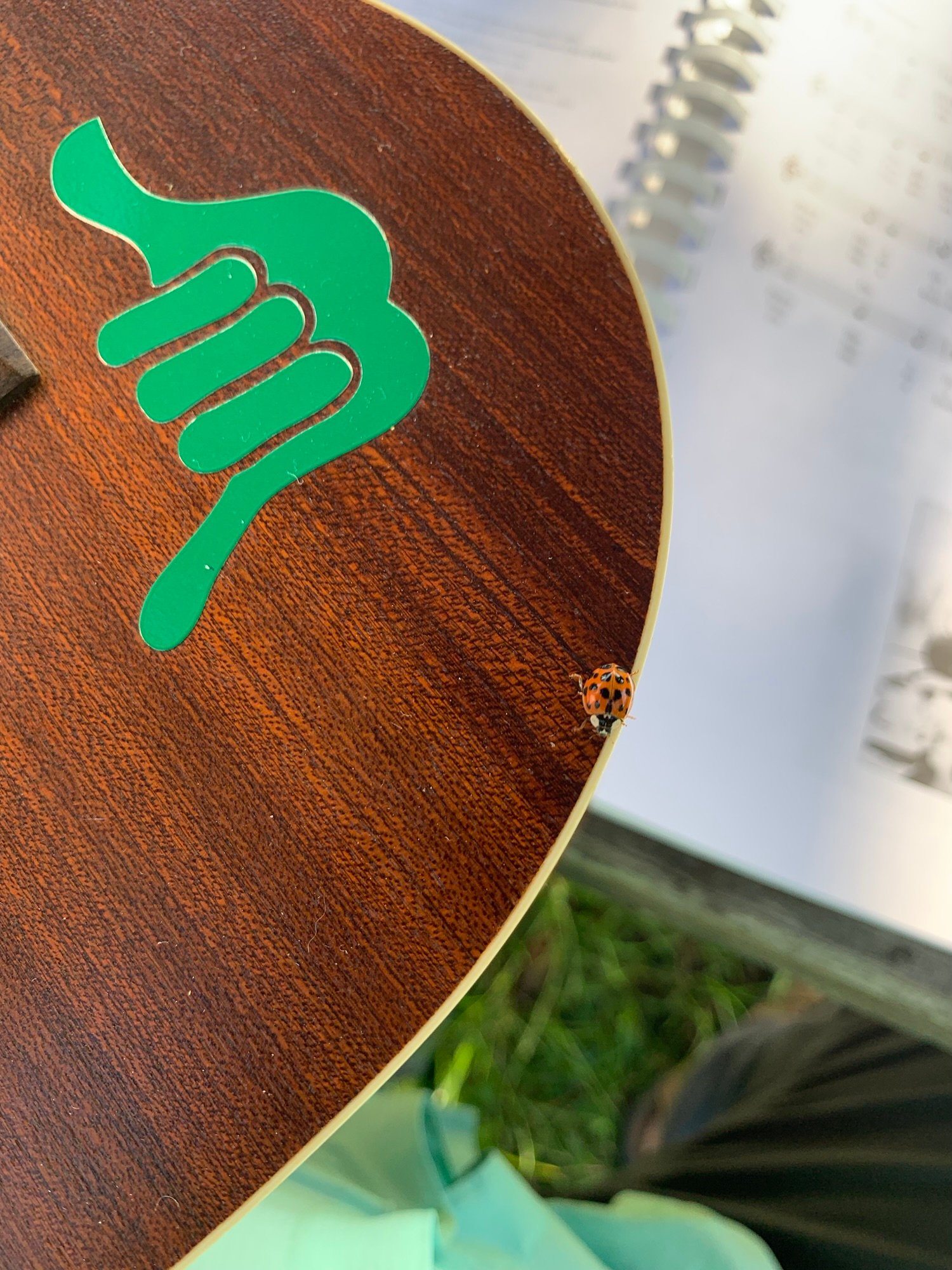 Ukulele in the Finger Lakes