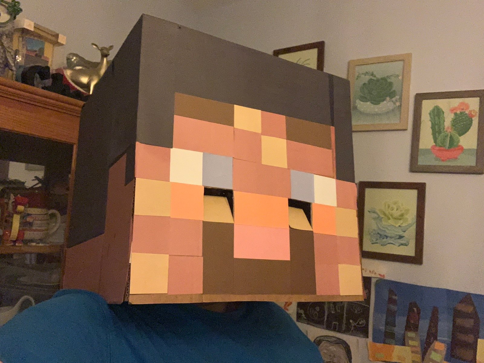 I am Steve